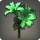 ブライトリリー:グリーン