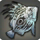 忘れられた魚
