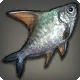 団子魚
