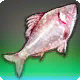 底闇魚