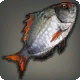 鉱炉の飛魚