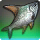 万慮魚