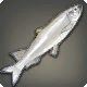 理王魚