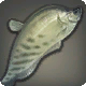 弓魚