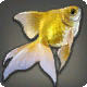 金魚