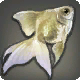 銀魚