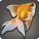 真鍮魚
