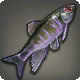 腐魚