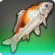 人面魚