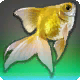 黄金魚