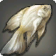 白紙魚