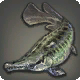 光鱗魚