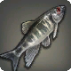 魔魚