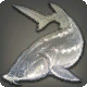 ベルーガ